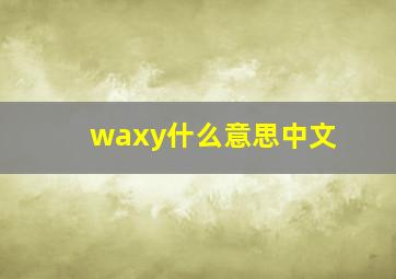 waxy什么意思中文