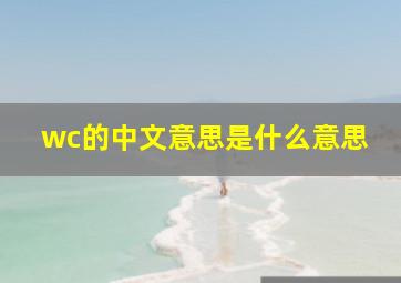 wc的中文意思是什么意思