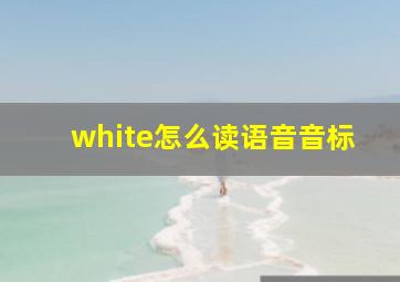 white怎么读语音音标