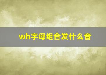 wh字母组合发什么音