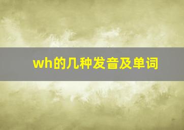 wh的几种发音及单词