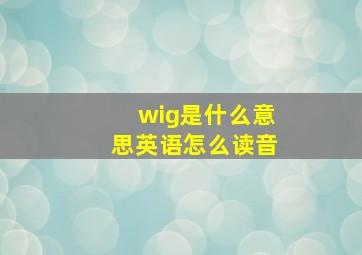 wig是什么意思英语怎么读音