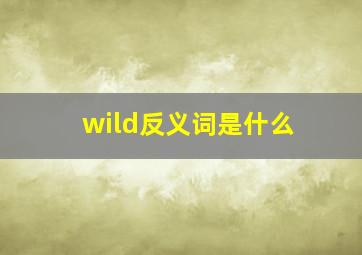 wild反义词是什么