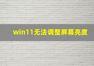 win11无法调整屏幕亮度