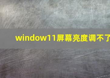 window11屏幕亮度调不了