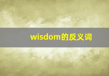 wisdom的反义词