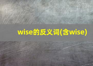 wise的反义词(含wise)