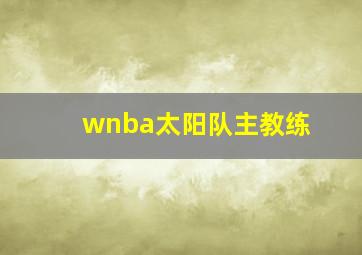 wnba太阳队主教练