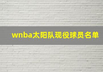 wnba太阳队现役球员名单