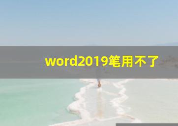 word2019笔用不了