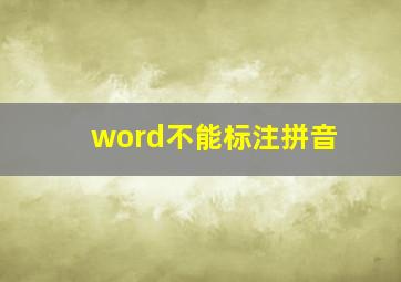 word不能标注拼音