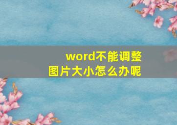 word不能调整图片大小怎么办呢