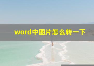 word中图片怎么转一下