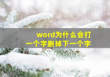 word为什么会打一个字删掉下一个字