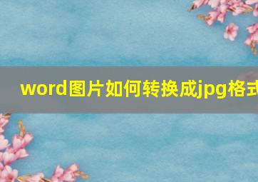 word图片如何转换成jpg格式