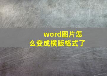 word图片怎么变成横版格式了