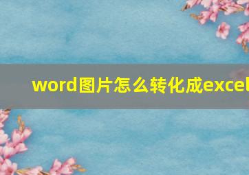 word图片怎么转化成excel