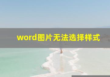 word图片无法选择样式