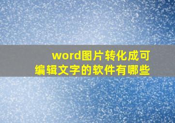 word图片转化成可编辑文字的软件有哪些