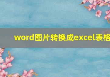 word图片转换成excel表格