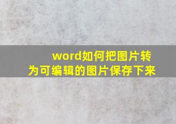 word如何把图片转为可编辑的图片保存下来