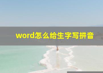 word怎么给生字写拼音