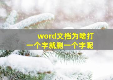 word文档为啥打一个字就删一个字呢