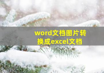 word文档图片转换成excel文档