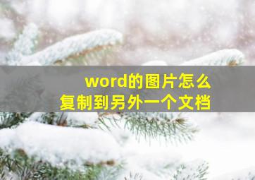 word的图片怎么复制到另外一个文档