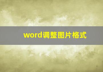 word调整图片格式