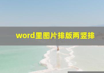 word里图片排版两竖排