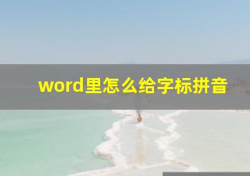 word里怎么给字标拼音