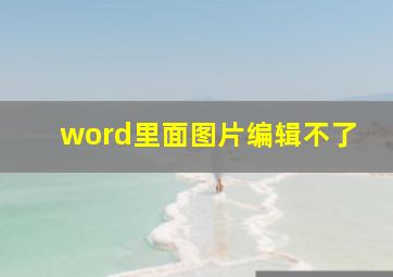 word里面图片编辑不了