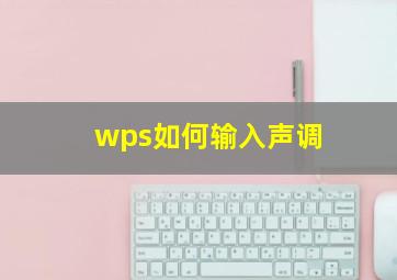 wps如何输入声调