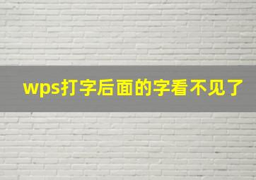 wps打字后面的字看不见了