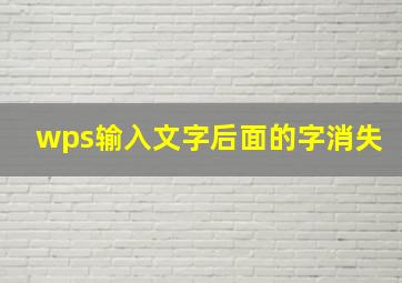 wps输入文字后面的字消失