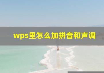 wps里怎么加拼音和声调