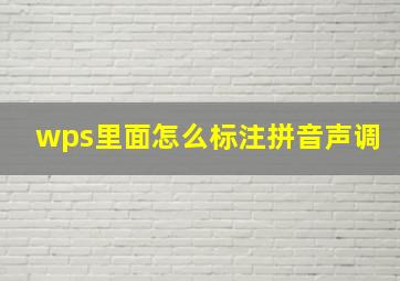 wps里面怎么标注拼音声调