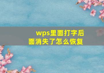 wps里面打字后面消失了怎么恢复