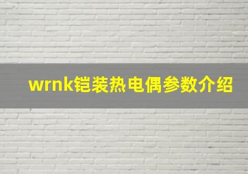 wrnk铠装热电偶参数介绍