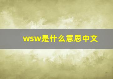 wsw是什么意思中文