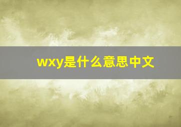 wxy是什么意思中文