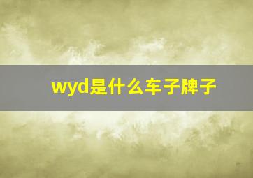 wyd是什么车子牌子