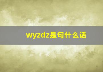 wyzdz是句什么话