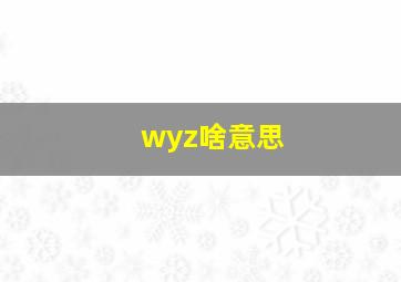 wyz啥意思