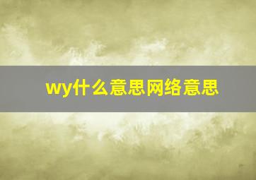 wy什么意思网络意思