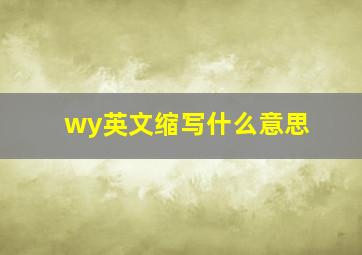 wy英文缩写什么意思