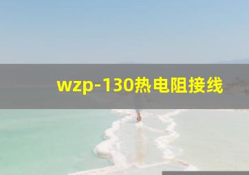 wzp-130热电阻接线