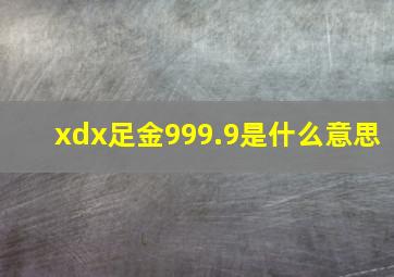 xdx足金999.9是什么意思