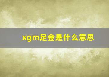 xgm足金是什么意思